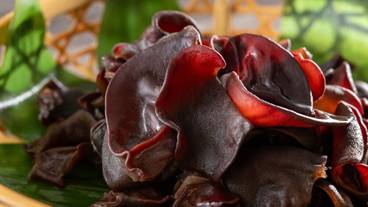 ビュッフェ / 17