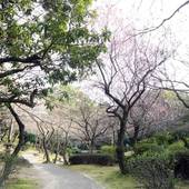 広島サンプラザ（広島県 シティホテル） / 5