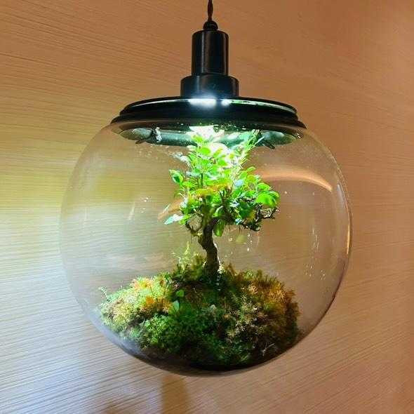 kumihykwさんの写真 / 1