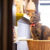 鉄輪温泉 かんなわ ゆの香（レトロ館）（大分県 旅館） / 5