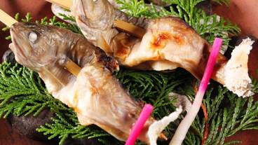 食事・飲み物 / 6