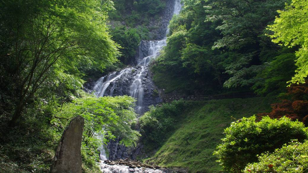 伊豆の観光名所を
車で巡ろう / 1