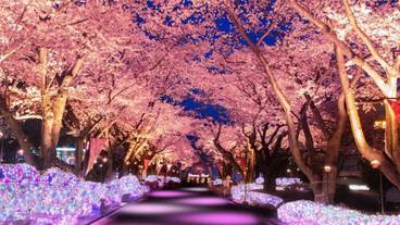 観光スポット / 5