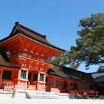 夫婦石や願掛け地蔵も！大分のパワースポット「宇佐神宮」がすごい！