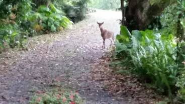 施設からの眺望 / 14