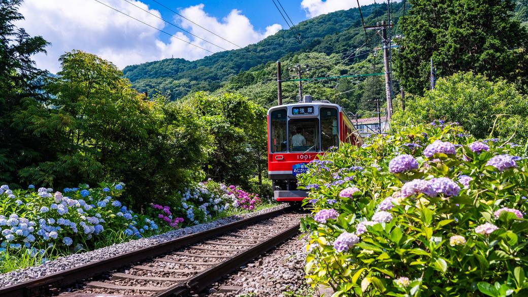 優雅なロビーは
写真映え抜群 / 4