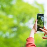 館内を散策したり
ラウンジでお茶したり / 2