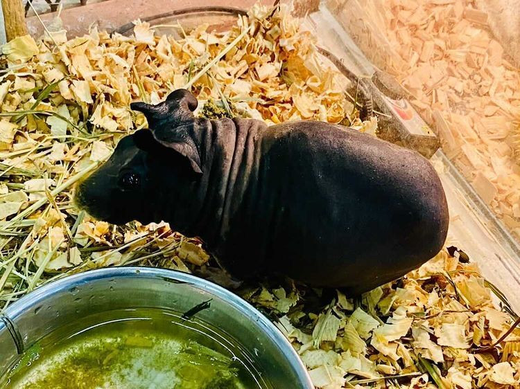 ma.ri7072さんの写真 / 3