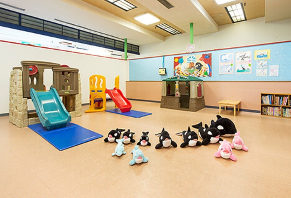 滞在中は「鴨川シーワールド」を好きなだけ楽しめる♪4248553