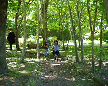 都会では味わえない森林浴ができる「散策の森」3524775