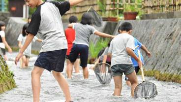 子供用の遊び場 - 屋外 / 10