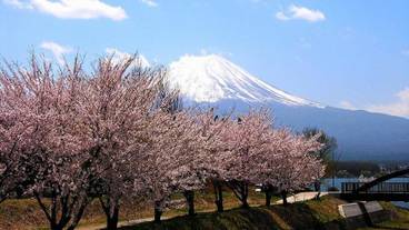 施設の敷地 / 17