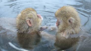 観光スポット / 5