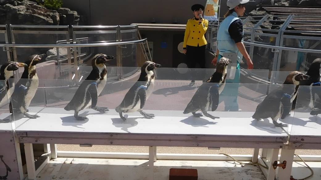 大洗水族館① / 1