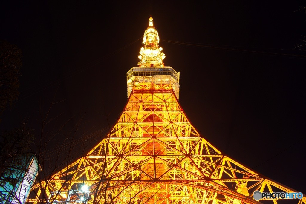 東京を代表するシンボル「東京タワー」1501304