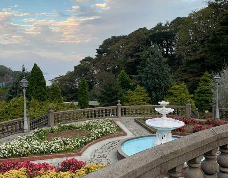 お花×海の絶景！
映える庭園を散策
 / 1