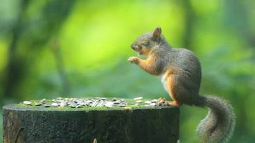 施設からの眺望 / 13