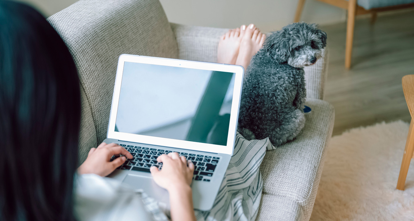 犬のいる暮らし　女性　ビジネス