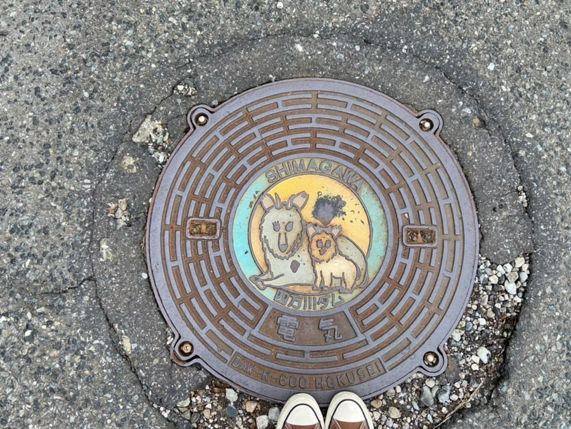 yokkoberurinさんの写真 / 1