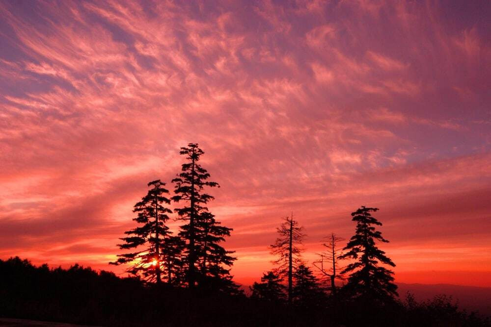 施設からの眺望