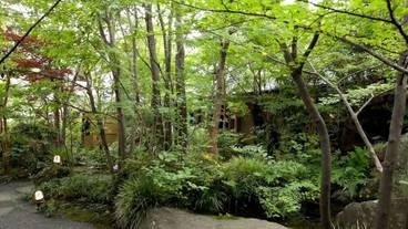 施設の敷地 / 15