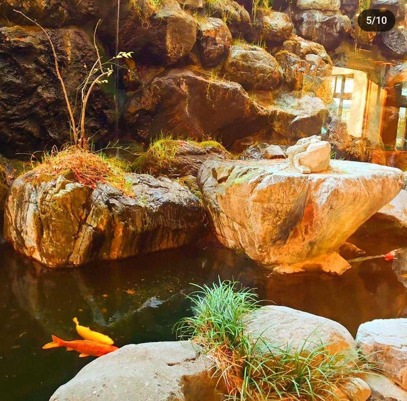 tomika734さんの写真 / 1