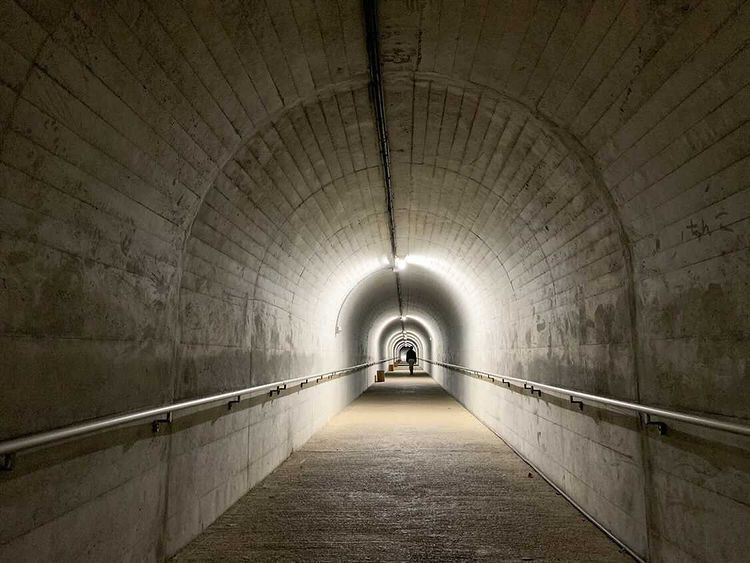 shihoko0922さんの写真 / 3