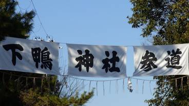 シティ ビュー / 14