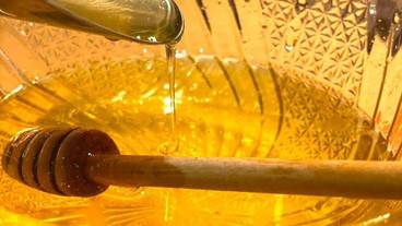 朝食ビュッフェ / 14