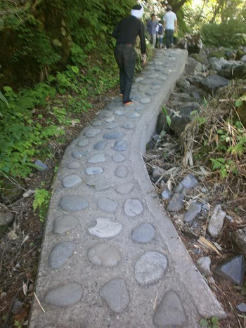 平湯大滝まで歩いてみよう4025415