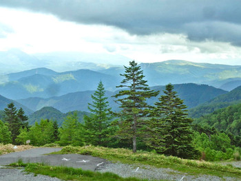 「山本小屋 ふる里館」 その他 210537933 １階和洋室からの眺め
