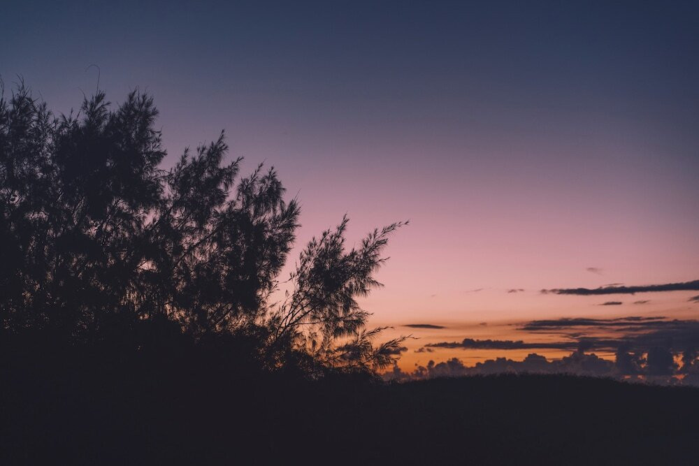 施設からの眺望