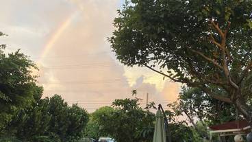 サンデッキ / 18