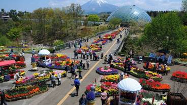 観光スポット / 6