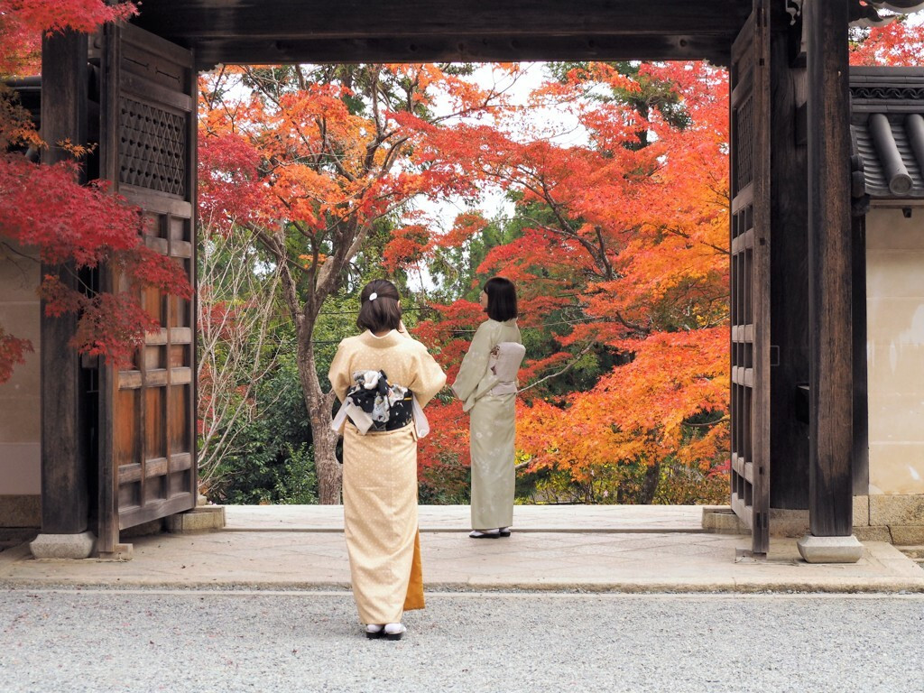 今年も残りわずか。日常を抜け出して紅葉スポットへ。1962291