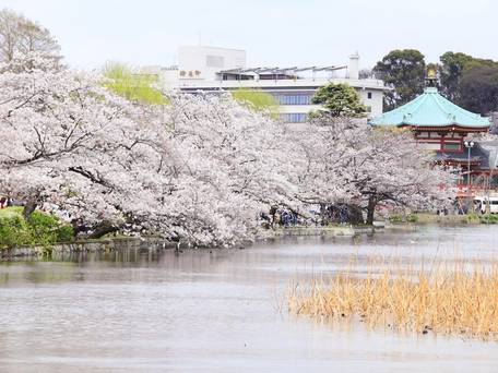 上野ステーションホステル オリエンタル 2 / 4