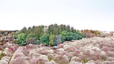施設の敷地 / 18