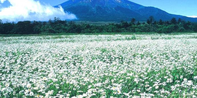 スポーツイン青山通り（山梨県 民宿） / 1