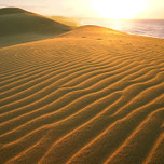 鳥取のお安い旅館に泊まる♪鳥取駅・鳥取空港の周辺のおすすめ宿6選