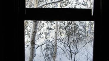 部屋からの景観 / 28