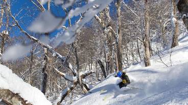 スノー スポーツとスキー / 2