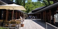 軽井沢で犬旅！人にもペットにも優しい「ハルニレテラス」6つの魅力