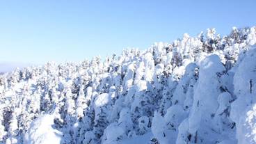 スノー スポーツとスキー / 6