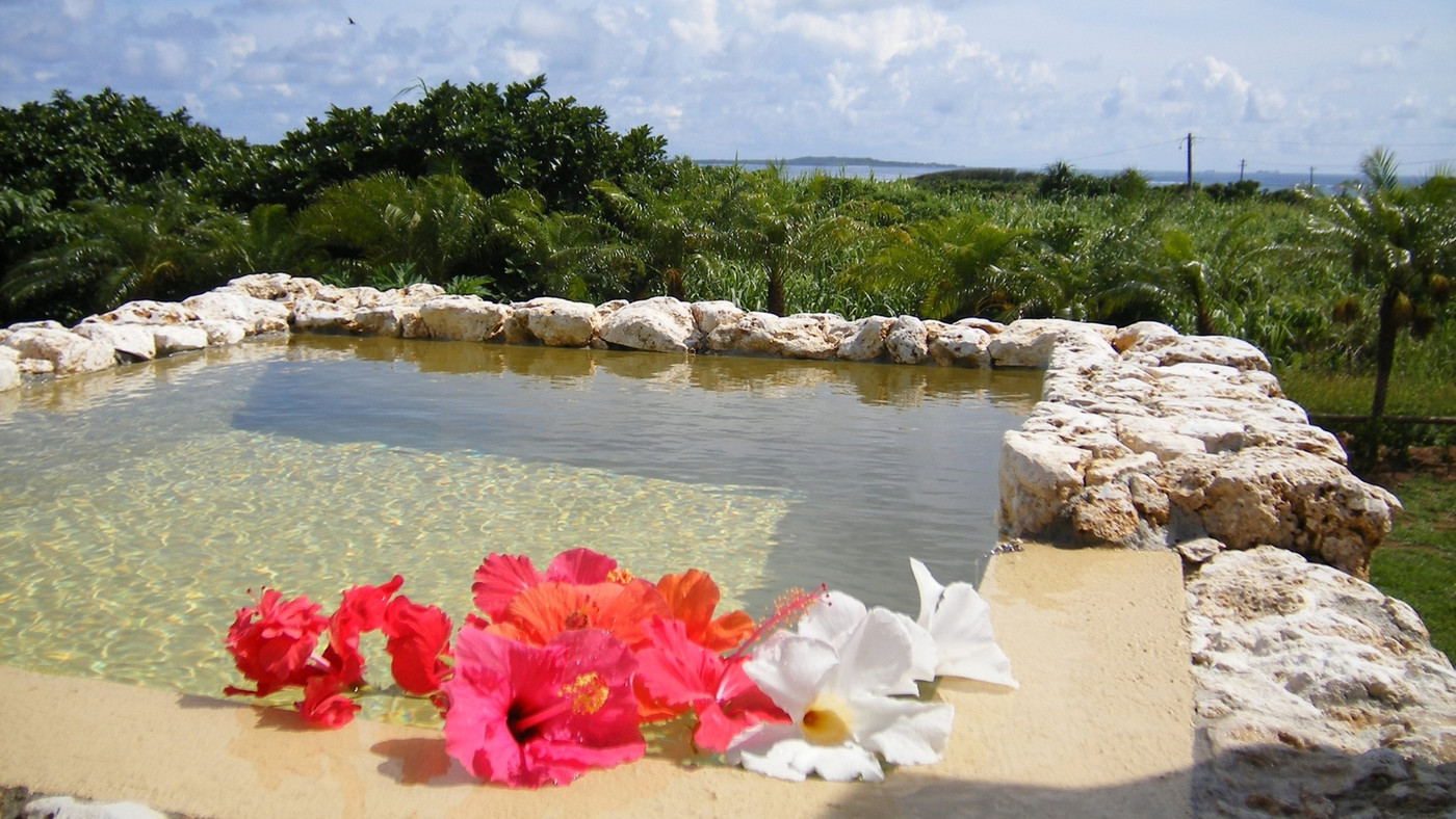 3.ティンヌカーラ3653840