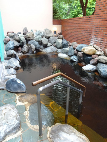 エゾリスがいる森で優雅なリゾートステイ3445835