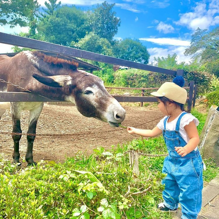 ayustagram.3さんの写真 / 1