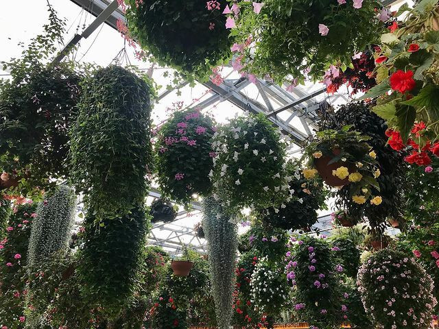 miri_logさんの写真 / 2