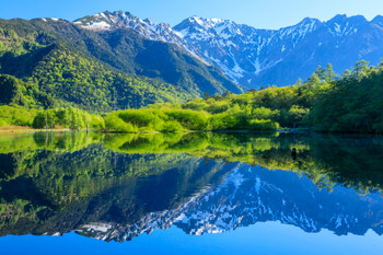 Kamikochi Fresh greenery