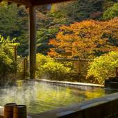 伊香保温泉 福一（群馬県 旅館） / 2