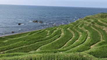 観光スポット / 11